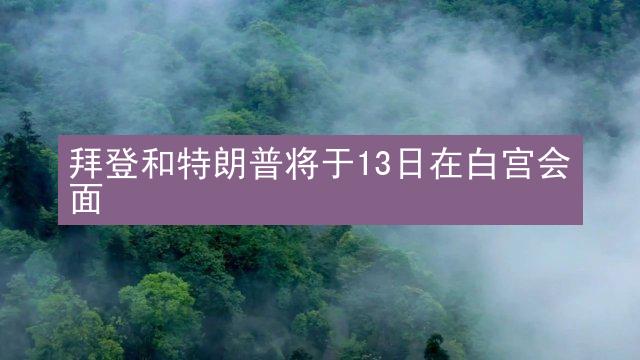 拜登和特朗普将于13日在白宫会面